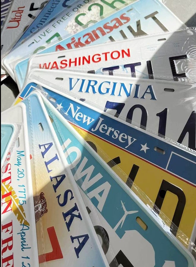 PeisTin Assorted Replica Metal License Plates, Stamped Car Plates, Man Cave Garage Bar Decor (30 pcs) - Image 4